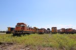 BNSF Diverse Collection